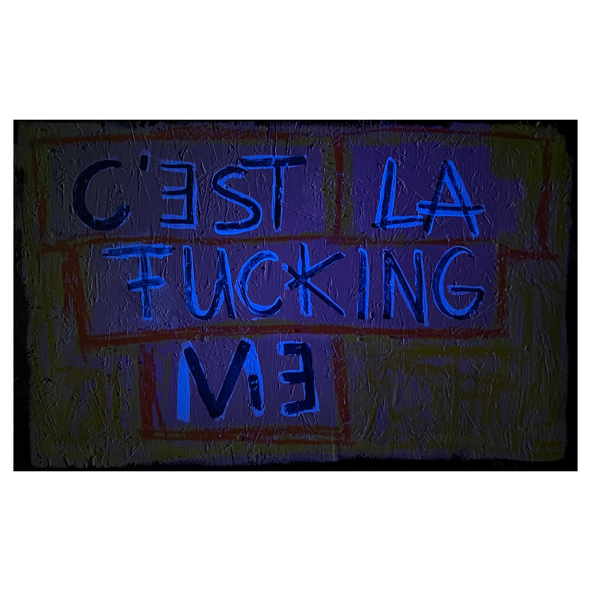 C'EST LA FUCKING ME dark x - Frank Willems