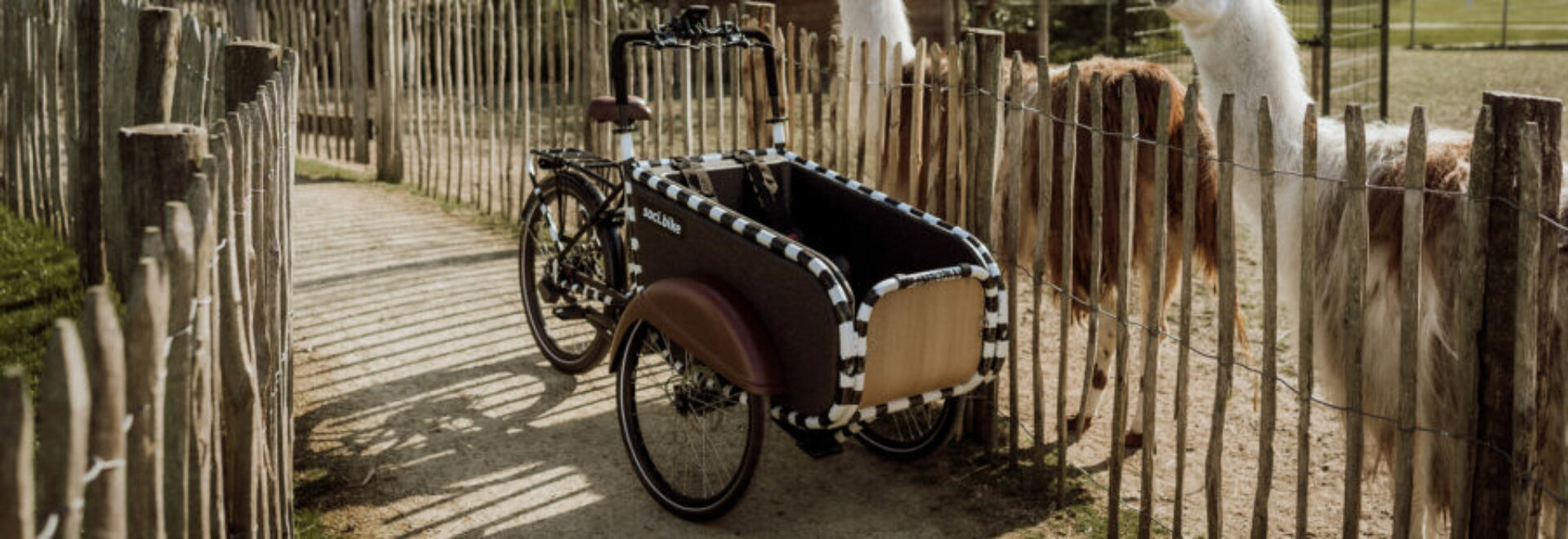 slider 10 - soci.bike kunstproject Frank Willems high res (8)